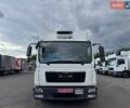 МАН TGL, об'ємом двигуна 4.6 л та пробігом 407 тис. км за 31900 $, фото 25 на Automoto.ua