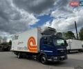 МАН ТГЛ, объемом двигателя 4.6 л и пробегом 516 тыс. км за 35900 $, фото 9 на Automoto.ua