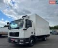 МАН TGL, об'ємом двигуна 4.6 л та пробігом 407 тис. км за 31900 $, фото 4 на Automoto.ua