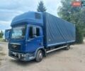 Синий МАН ТГЛ, объемом двигателя 4.58 л и пробегом 700 тыс. км за 18600 $, фото 13 на Automoto.ua