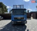 Синий МАН ТГЛ, объемом двигателя 4.6 л и пробегом 431 тыс. км за 28350 $, фото 17 на Automoto.ua