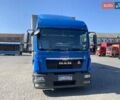 Синий МАН ТГЛ, объемом двигателя 4.6 л и пробегом 980 тыс. км за 21000 $, фото 1 на Automoto.ua