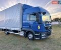 Синій МАН TGL, об'ємом двигуна 0 л та пробігом 465 тис. км за 33600 $, фото 29 на Automoto.ua