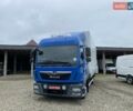 Синий МАН ТГЛ, объемом двигателя 4.6 л и пробегом 460 тыс. км за 34750 $, фото 20 на Automoto.ua