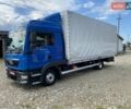 Синій МАН TGL, об'ємом двигуна 4.6 л та пробігом 390 тис. км за 33900 $, фото 11 на Automoto.ua