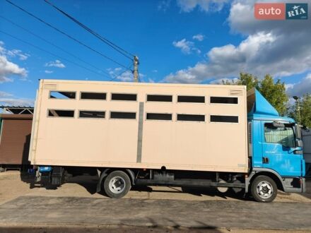 Синий МАН ТГЛ, объемом двигателя 4.58 л и пробегом 700 тыс. км за 23000 $, фото 1 на Automoto.ua