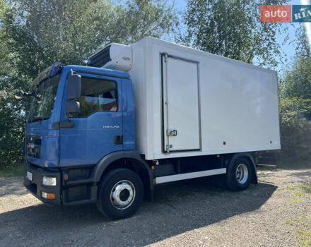 Синий МАН ТГМ, объемом двигателя 6.87 л и пробегом 513 тыс. км за 34000 $, фото 17 на Automoto.ua