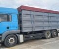 Синій МАН ТГХ 18.440, об'ємом двигуна 0 л та пробігом 1000 тис. км за 33000 $, фото 19 на Automoto.ua