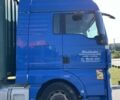 Синий МАН ТГХ 18.440, объемом двигателя 10.5 л и пробегом 850 тыс. км за 19500 $, фото 3 на Automoto.ua