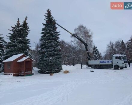 Белый МАН ТГКС, объемом двигателя 10.52 л и пробегом 450 тыс. км за 80000 $, фото 7 на Automoto.ua