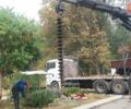Білий МАН ТГКС, об'ємом двигуна 10.52 л та пробігом 450 тис. км за 80000 $, фото 29 на Automoto.ua