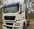 Белый МАН ТГКС, объемом двигателя 10.52 л и пробегом 738 тыс. км за 21800 $, фото 15 на Automoto.ua