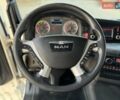 Белый МАН ТГКС, объемом двигателя 0 л и пробегом 996 тыс. км за 18300 $, фото 76 на Automoto.ua