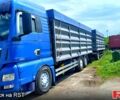 Синий МАН ТГКС, объемом двигателя 10.5 л и пробегом 1 тыс. км за 33000 $, фото 6 на Automoto.ua