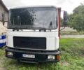 МАН Другая 1995 в Новоукраинке на Automoto.ua Белый МАН Другая, объемом двигателя 6.9 л и пробегом 0 тыс. км за 19999 $, фото 1 на Automoto.ua