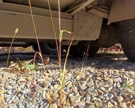 МАН Другая, об'ємом двигуна 0 л та пробігом 0 тис. км за 10000 $, фото 6 на Automoto.ua