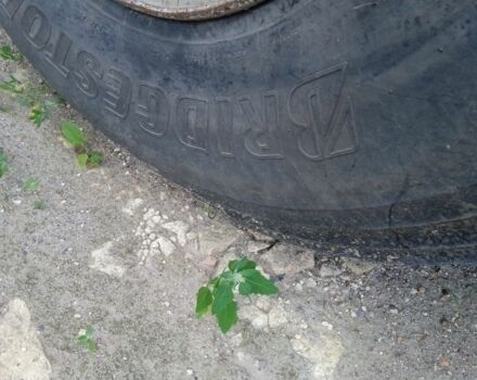 МАН Другая, объемом двигателя 0 л и пробегом 0 тыс. км за 15000 $, фото 4 на Automoto.ua