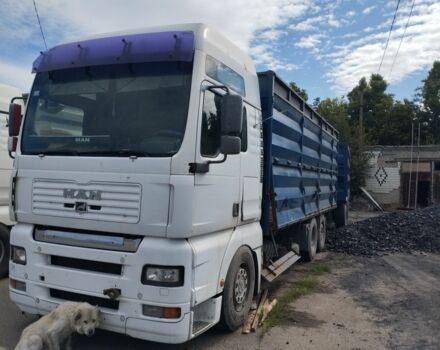 МАН Другая, об'ємом двигуна 0 л та пробігом 0 тис. км за 20000 $, фото 6 на Automoto.ua