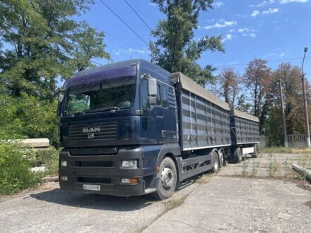 МАН Другая 2007 в Кривом Роге на Automoto.ua МАН Другая, объемом двигателя 14.86 л и пробегом 0 тыс. км за 25000 $, фото 1 на Automoto.ua