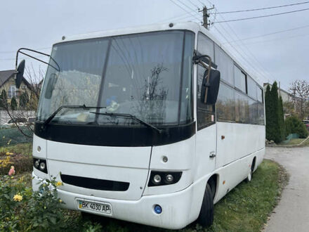 Білий МАЗ 256, об'ємом двигуна 0 л та пробігом 20 тис. км за 12000 $, фото 1 на Automoto.ua