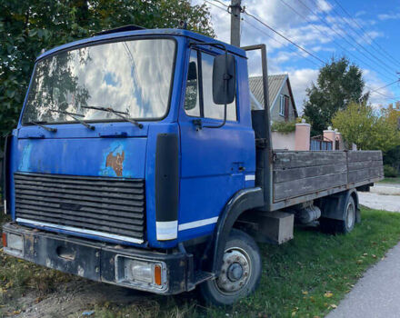 МАЗ 437041, об'ємом двигуна 0 л та пробігом 300 тис. км за 2900 $, фото 1 на Automoto.ua