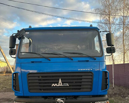 МАЗ 437141, об'ємом двигуна 0 л та пробігом 50 тис. км за 49500 $, фото 3 на Automoto.ua