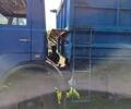 Синий МАЗ 5551, объемом двигателя 11.15 л и пробегом 16 тыс. км за 8899 $, фото 9 на Automoto.ua