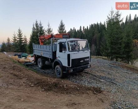 Белый МАЗ 555102, объемом двигателя 11.15 л и пробегом 174 тыс. км за 20000 $, фото 1 на Automoto.ua