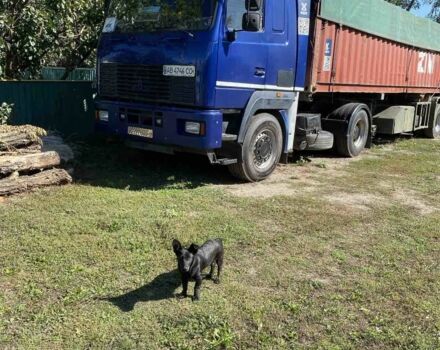 МАЗ Другая 2007 в Виннице на Automoto.ua МАЗ Другая, объемом двигателя 0 л и пробегом 0 тыс. км за 6500 $, фото 1 на Automoto.ua