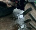 МТЗ 1025 Білорус, об'ємом двигуна 5 л та пробігом 0 тис. км за 13500 $, фото 2 на Automoto.ua