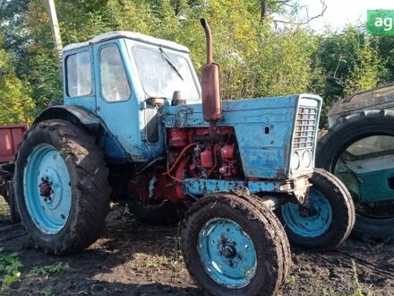 МТЗ 50 Білорус 1985 у Тернополі на Automoto.ua МТЗ 50 Білорус, об'ємом двигуна 4.75 л та пробігом 0 тис. км за 2699 $, фото 1 на Automoto.ua
