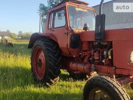 МТЗ 80 Беларус 1997 в Ратно на Automoto.ua МТЗ 80 Беларус, объемом двигателя 0 л и пробегом 5 тыс. км за 7200 $, фото 1 на Automoto.ua