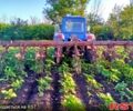 Синій МТЗ 80, об'ємом двигуна 24 л та пробігом 10 тис. км за 5800 $, фото 3 на Automoto.ua