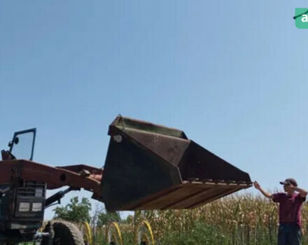 МТЗ 80 Білорус, об'ємом двигуна 4.75 л та пробігом 0 тис. км за 6200 $, фото 1 на Automoto.ua