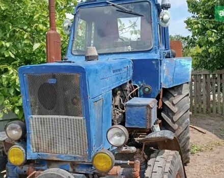 МТЗ 80 Білорус, объемом двигателя 0 л и пробегом 0 тыс. км за 5200 $, фото 1 на Automoto.ua