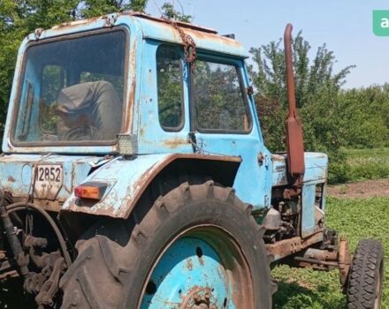 МТЗ 80 Білорус, объемом двигателя 4.75 л и пробегом 0 тыс. км за 4000 $, фото 2 на Automoto.ua