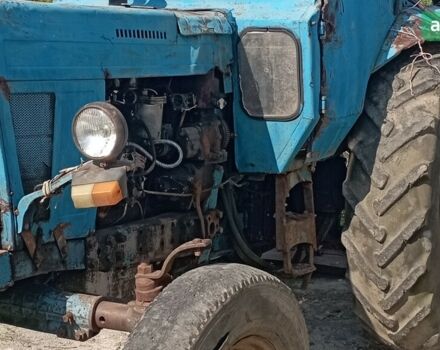 МТЗ 80 Білорус, объемом двигателя 4.75 л и пробегом 0 тыс. км за 3700 $, фото 3 на Automoto.ua