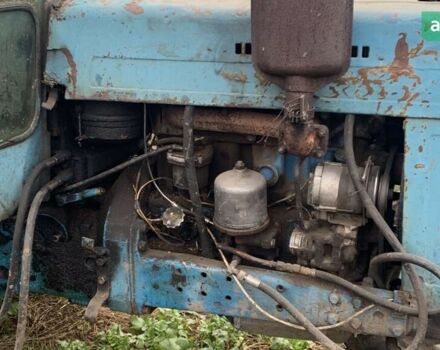 МТЗ 80 Білорус, об'ємом двигуна 4.75 л та пробігом 0 тис. км за 4200 $, фото 1 на Automoto.ua