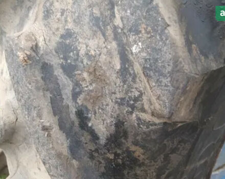 МТЗ 80 Білорус, объемом двигателя 4.75 л и пробегом 0 тыс. км за 3200 $, фото 4 на Automoto.ua