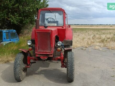 МТЗ 80 Білорус 1992 в Херсоне на Automoto.ua МТЗ 80 Білорус, объемом двигателя 4.75 л и пробегом 0 тыс. км за 3200 $, фото 1 на Automoto.ua