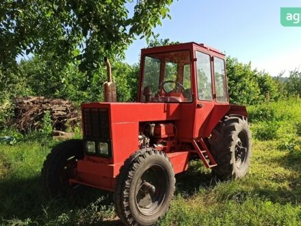 МТЗ 80 Білорус, об'ємом двигуна 0 л та пробігом 1 тис. км за 6000 $, фото 1 на Automoto.ua