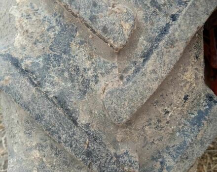 Красный МТЗ 82 Беларус, объемом двигателя 0 л и пробегом 100 тыс. км за 8700 $, фото 5 на Automoto.ua