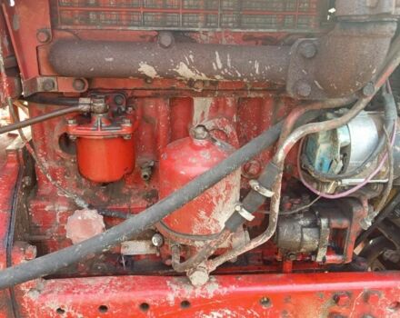 Красный МТЗ 82 Беларус, объемом двигателя 0 л и пробегом 100 тыс. км за 8700 $, фото 1 на Automoto.ua