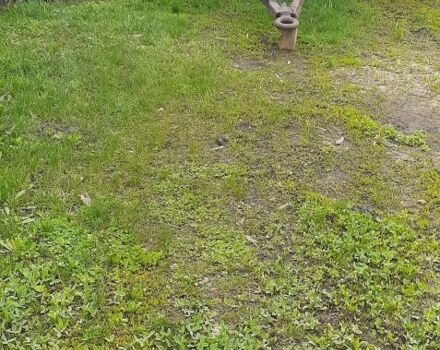 МТЗ Другая, объемом двигателя 0 л и пробегом 0 тыс. км за 2857 $, фото 1 на Automoto.ua