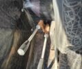 МТЗ Другая, объемом двигателя 4.75 л и пробегом 0 тыс. км за 6700 $, фото 14 на Automoto.ua
