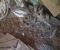 МТЗ Інша, об'ємом двигуна 4.8 л та пробігом 22 тис. км за 4000 $, фото 4 на Automoto.ua