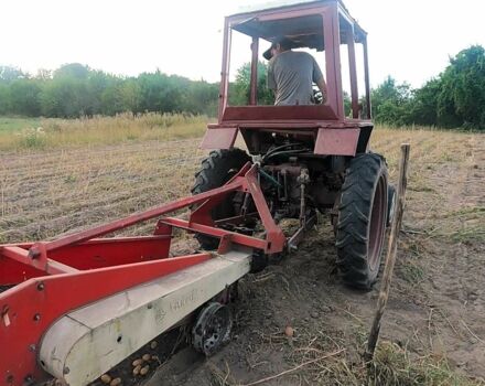 МТЗ Другая 1989 в Вышгороде на Automoto.ua МТЗ Другая, объемом двигателя 2.1 л и пробегом 3 тыс. км за 3100 $, фото 3 на Automoto.ua