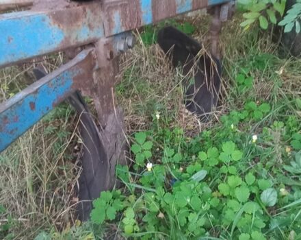 МТЗ Другая, объемом двигателя 4.7 л и пробегом 3 тыс. км за 6500 $, фото 5 на Automoto.ua