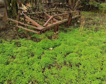 МТЗ Другая, объемом двигателя 0 л и пробегом 0 тыс. км за 9500 $, фото 7 на Automoto.ua