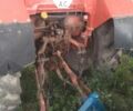 МТЗ Другая, объемом двигателя 0 л и пробегом 1000 тыс. км за 10000 $, фото 14 на Automoto.ua